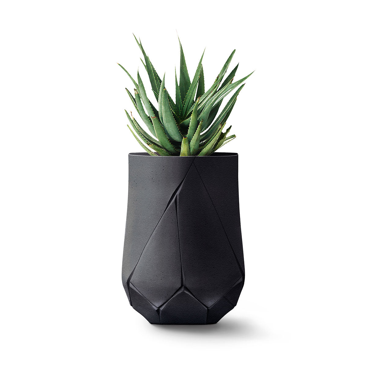 Bhaca Planter