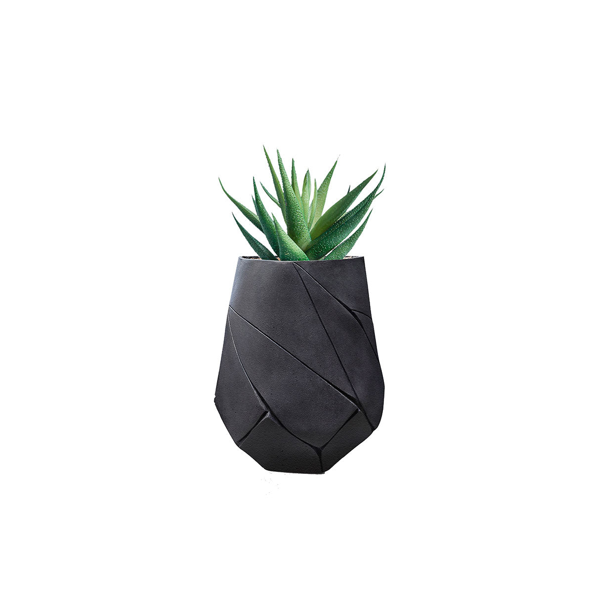 Bhaca Planter