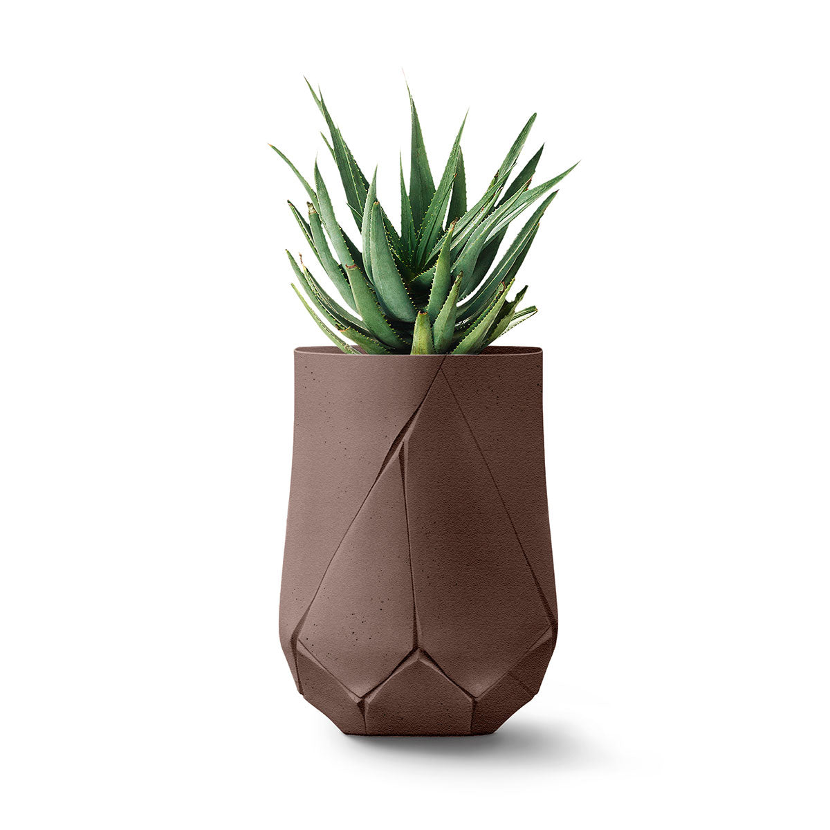 Bhaca Planter