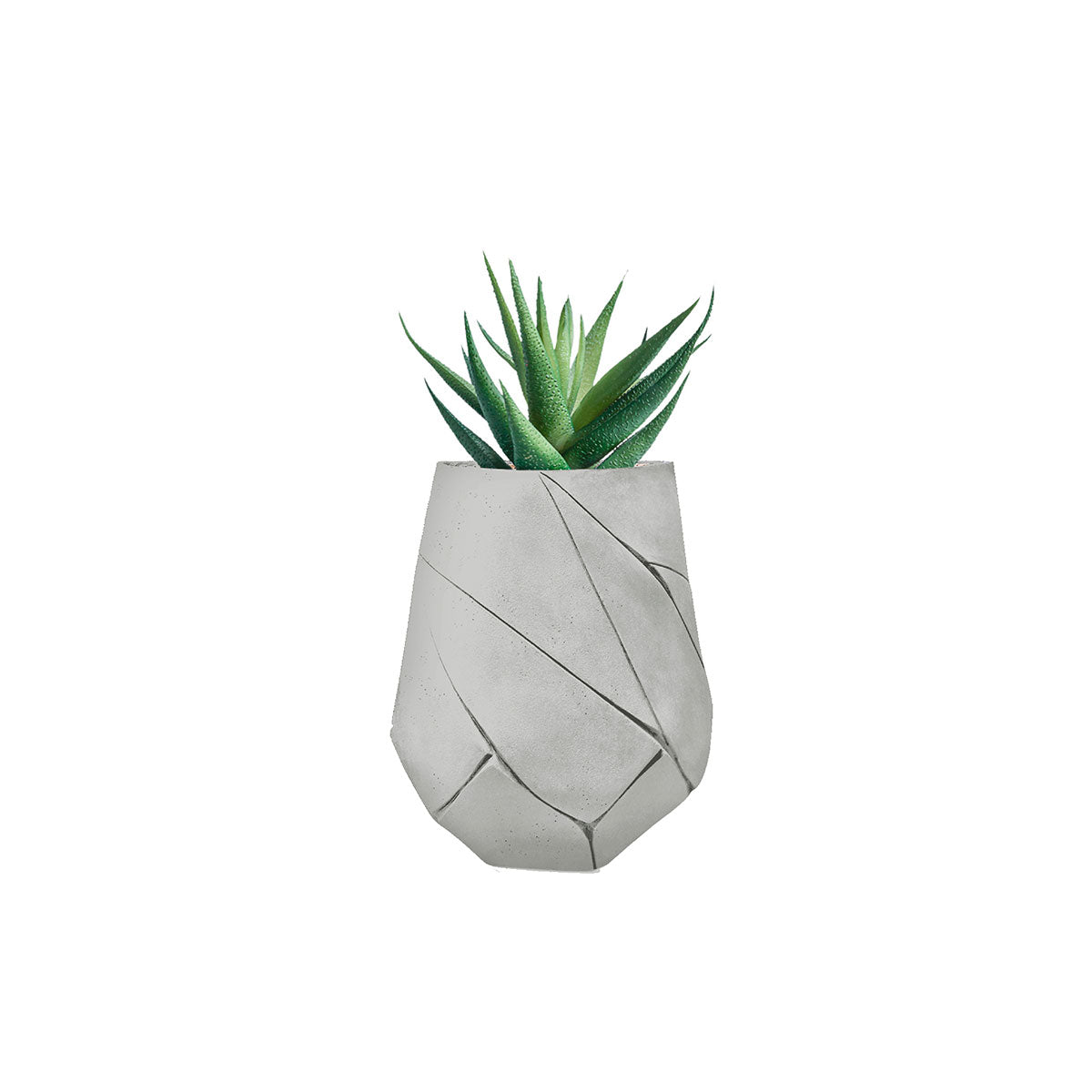 Bhaca Planter