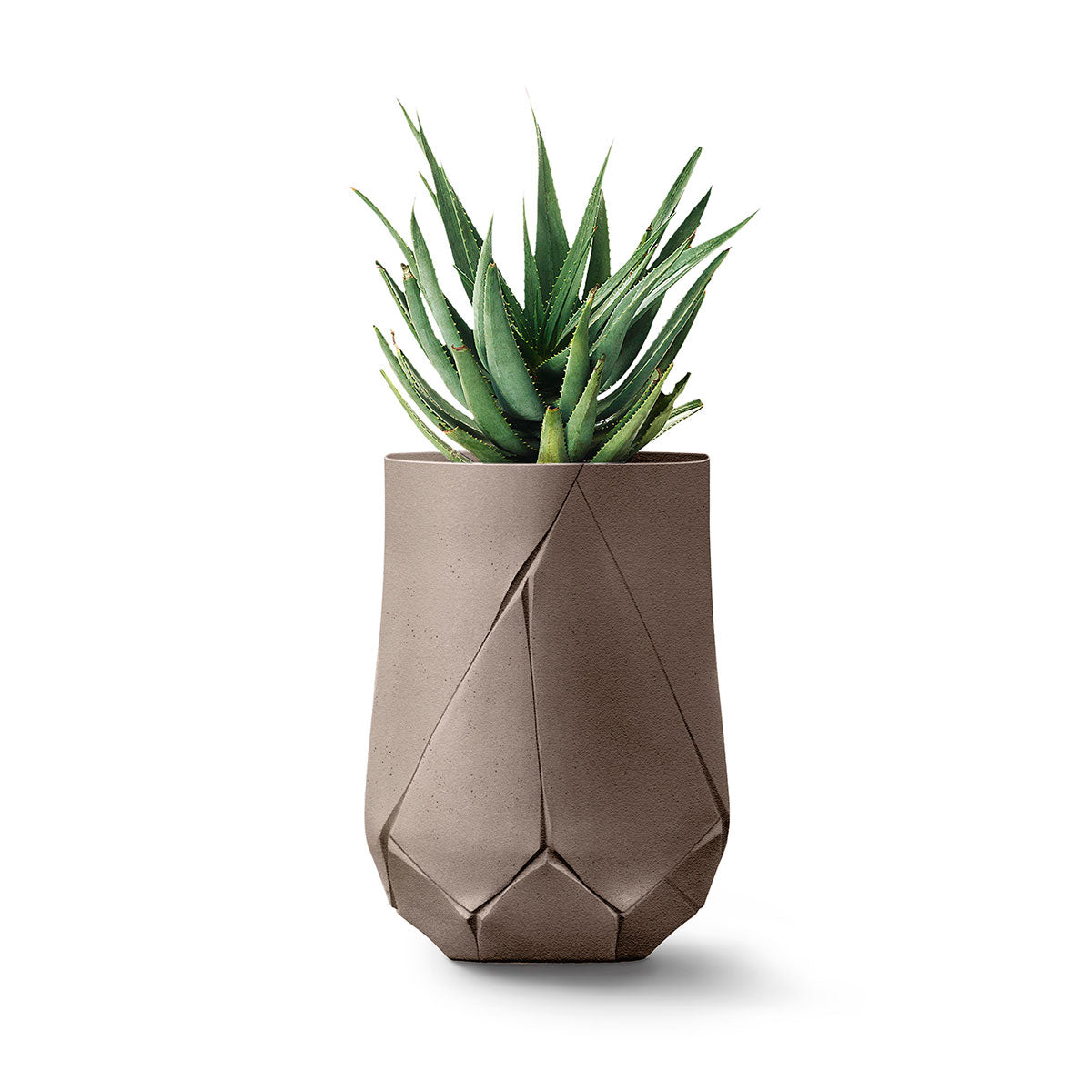 Bhaca Planter