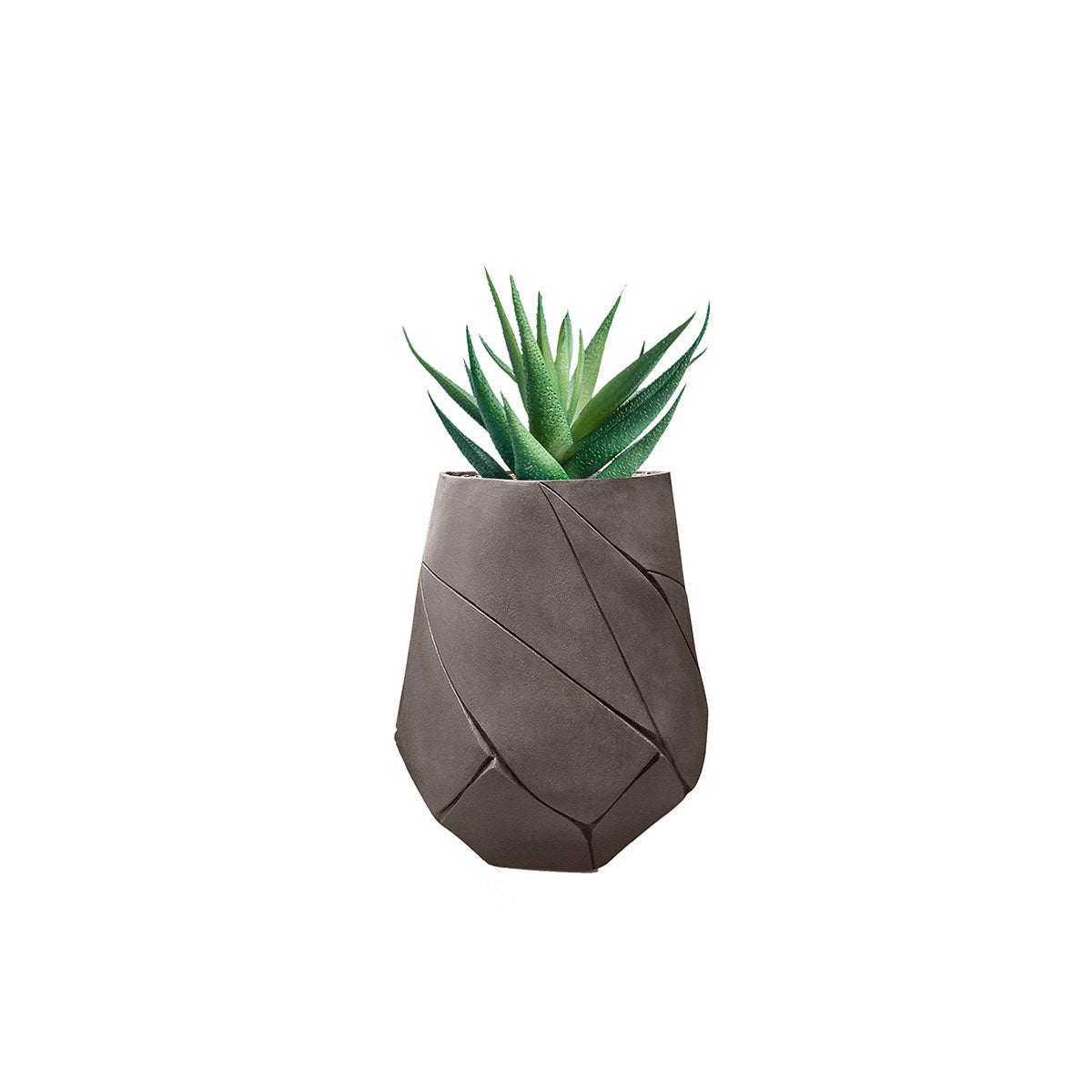 Bhaca Planter