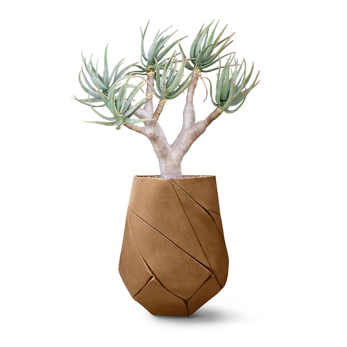 Bhaca Planter