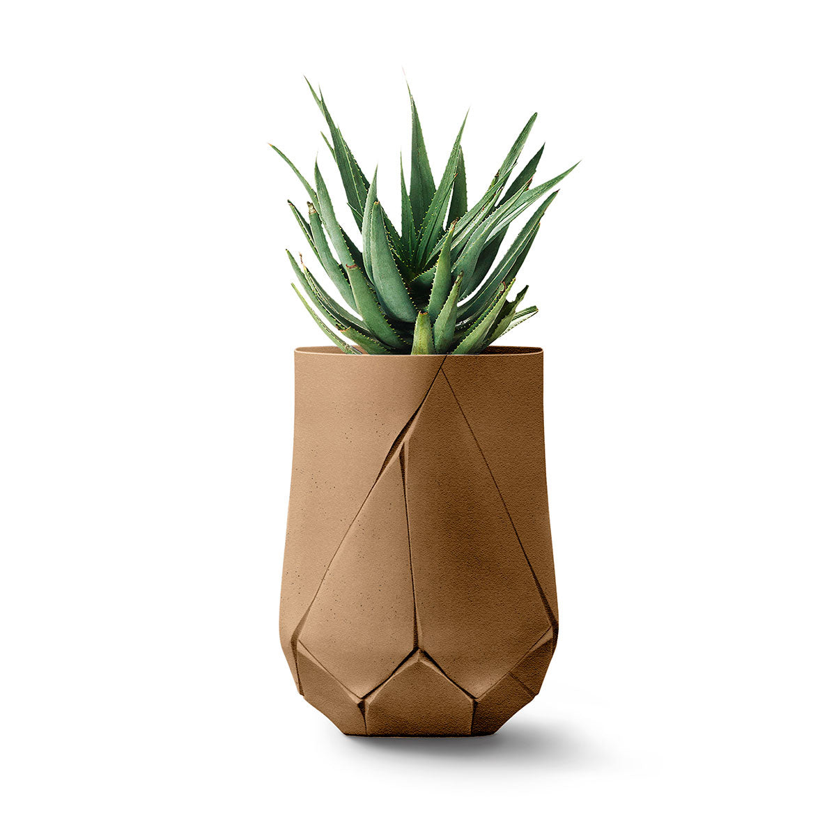 Bhaca Planter