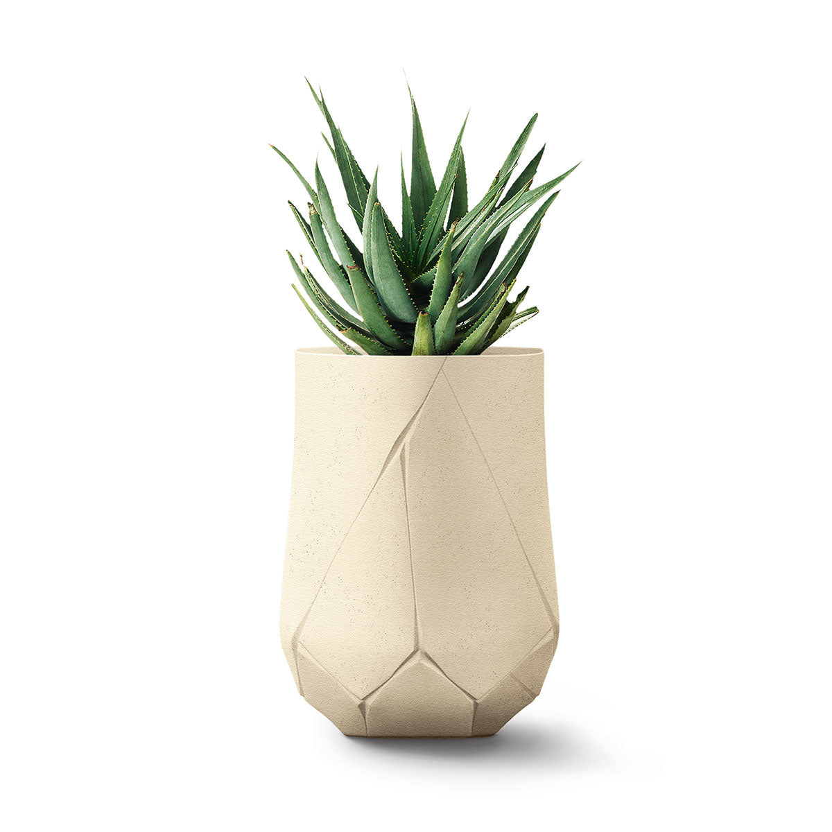 Bhaca Planter