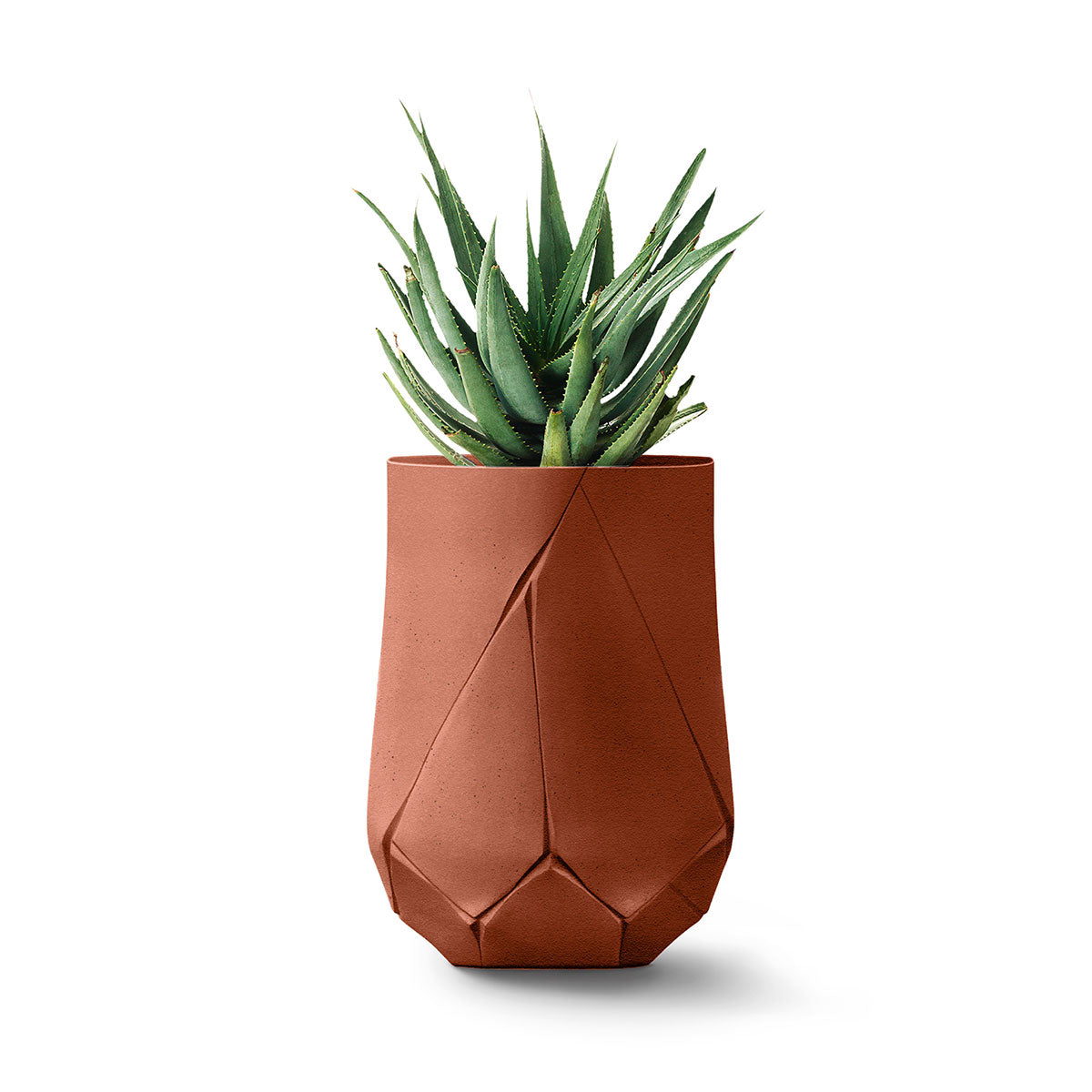 Bhaca Planter