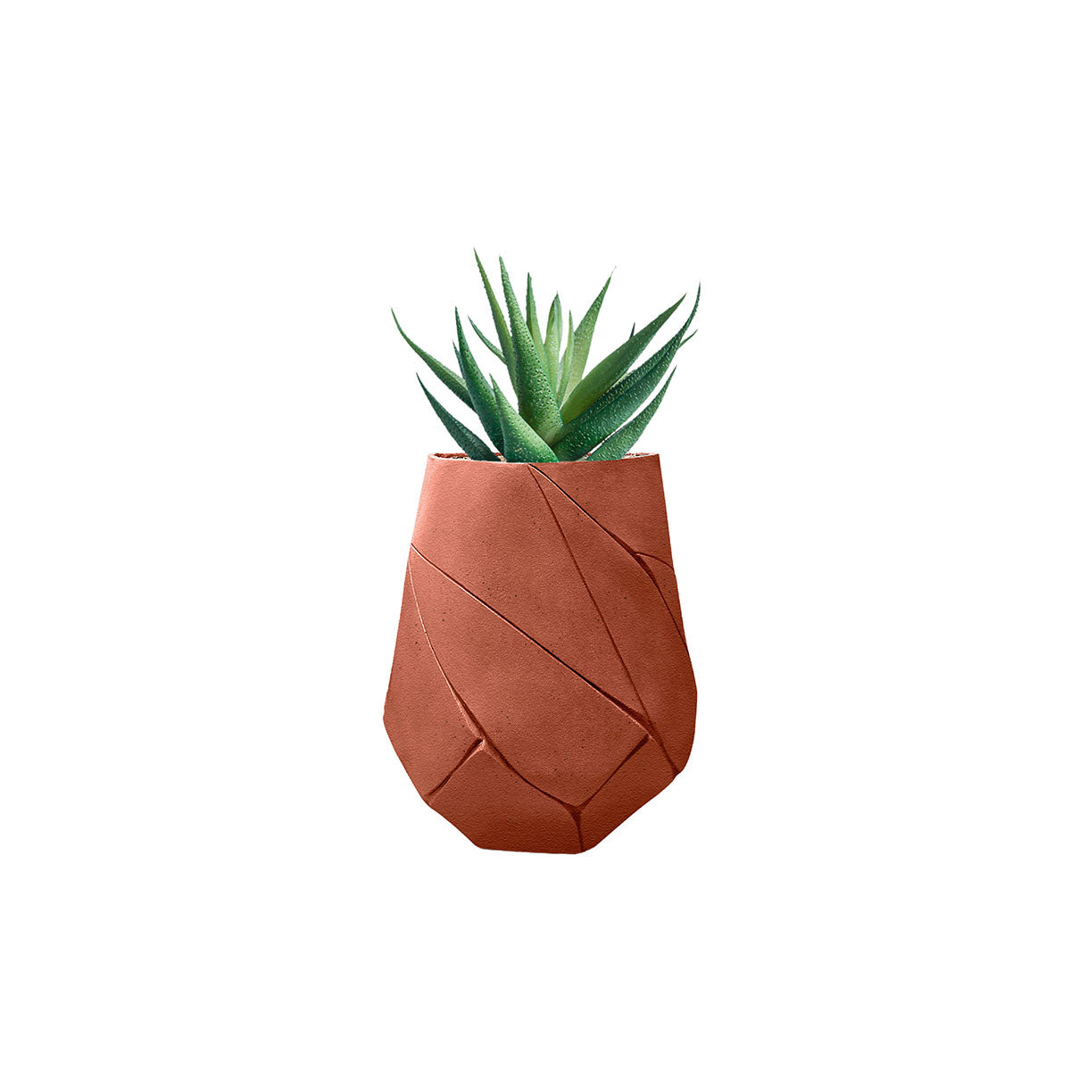 Bhaca Planter
