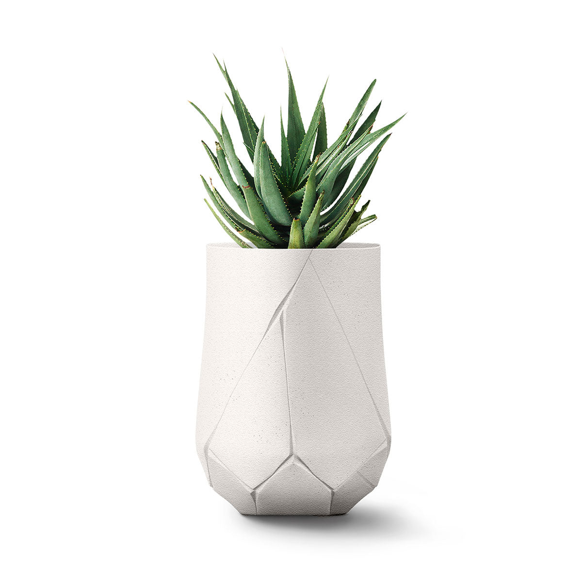 Bhaca Planter