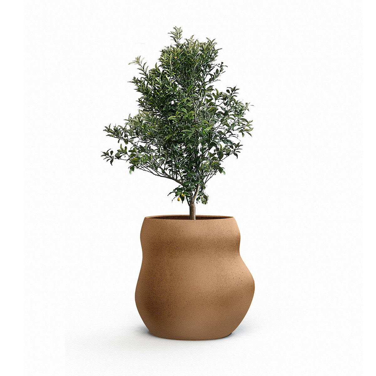 Indigenus_Pebble_Nutmeg_Midi.jpg