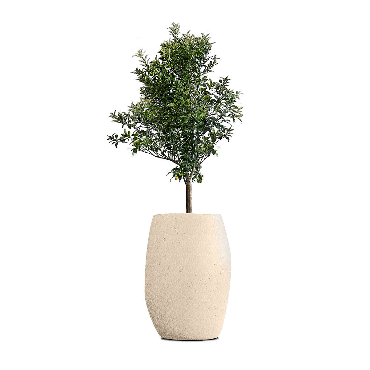 Indigenus_Pebble_Sandstone_Tall.jpg