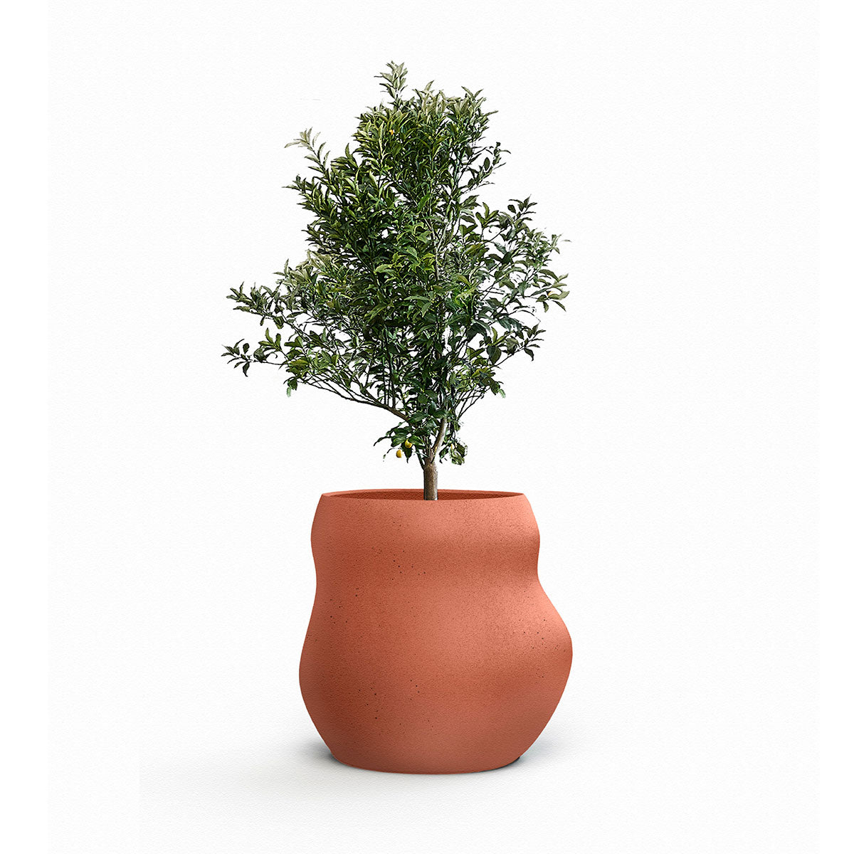 Indigenus_Pebble_Terracotta_Midi.jpg