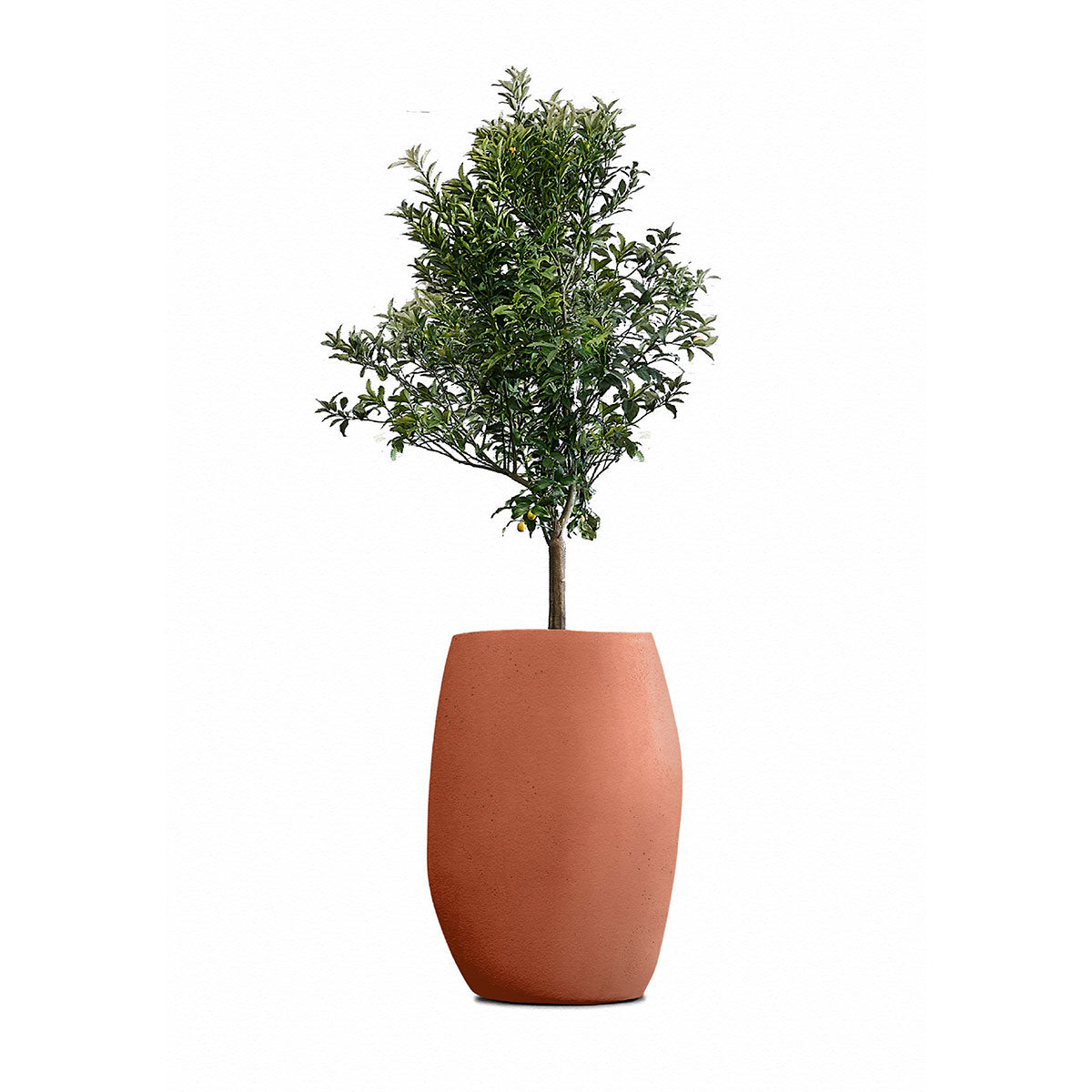 Indigenus_Pebble_Terracotta_Tall.jpg