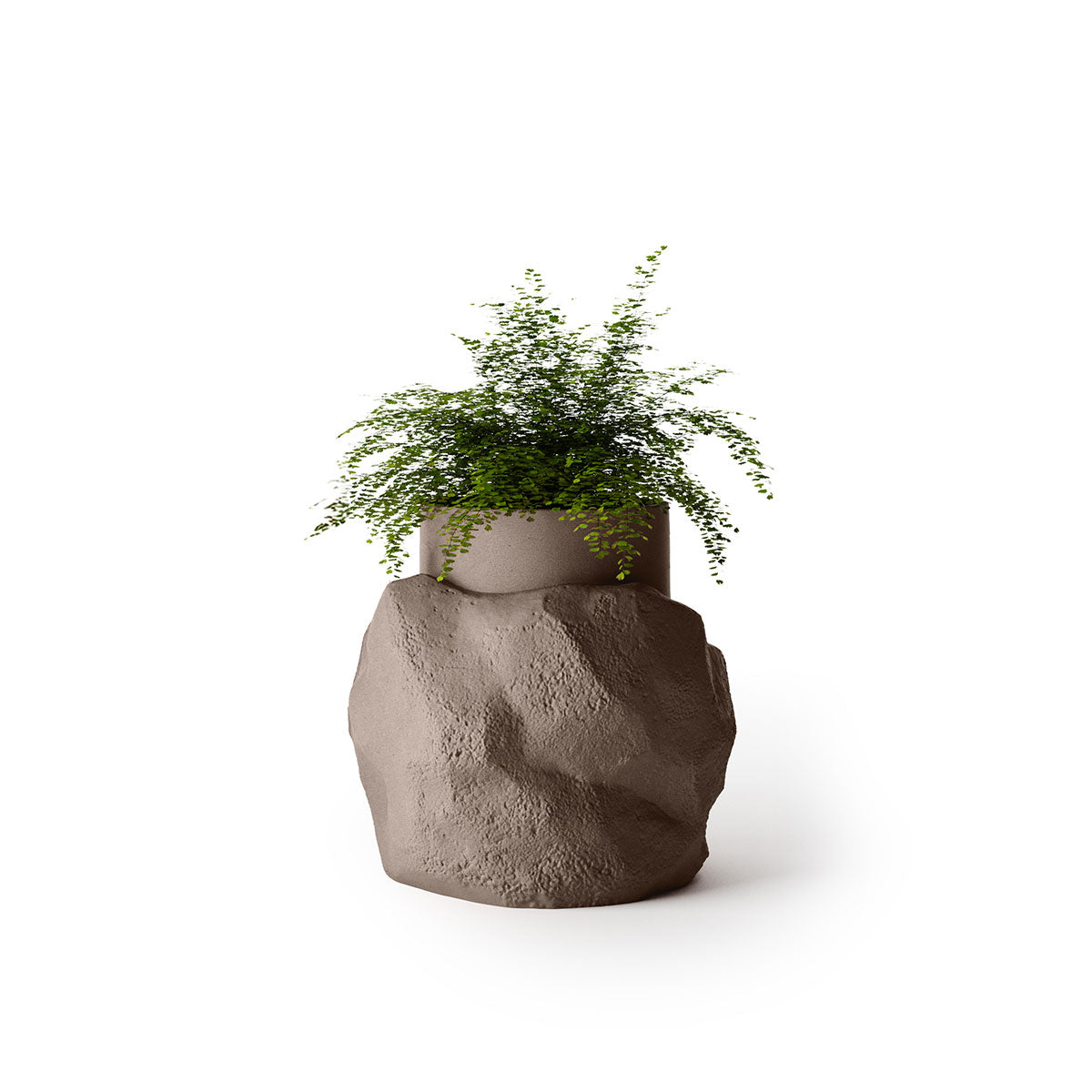 Indigenus_Petra_Mushroom_Medium.jpg