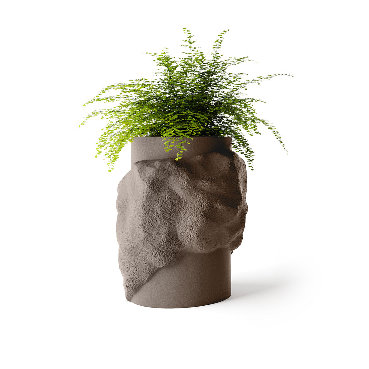 Indigenus_Petra_Mushroom_Tall.jpg
