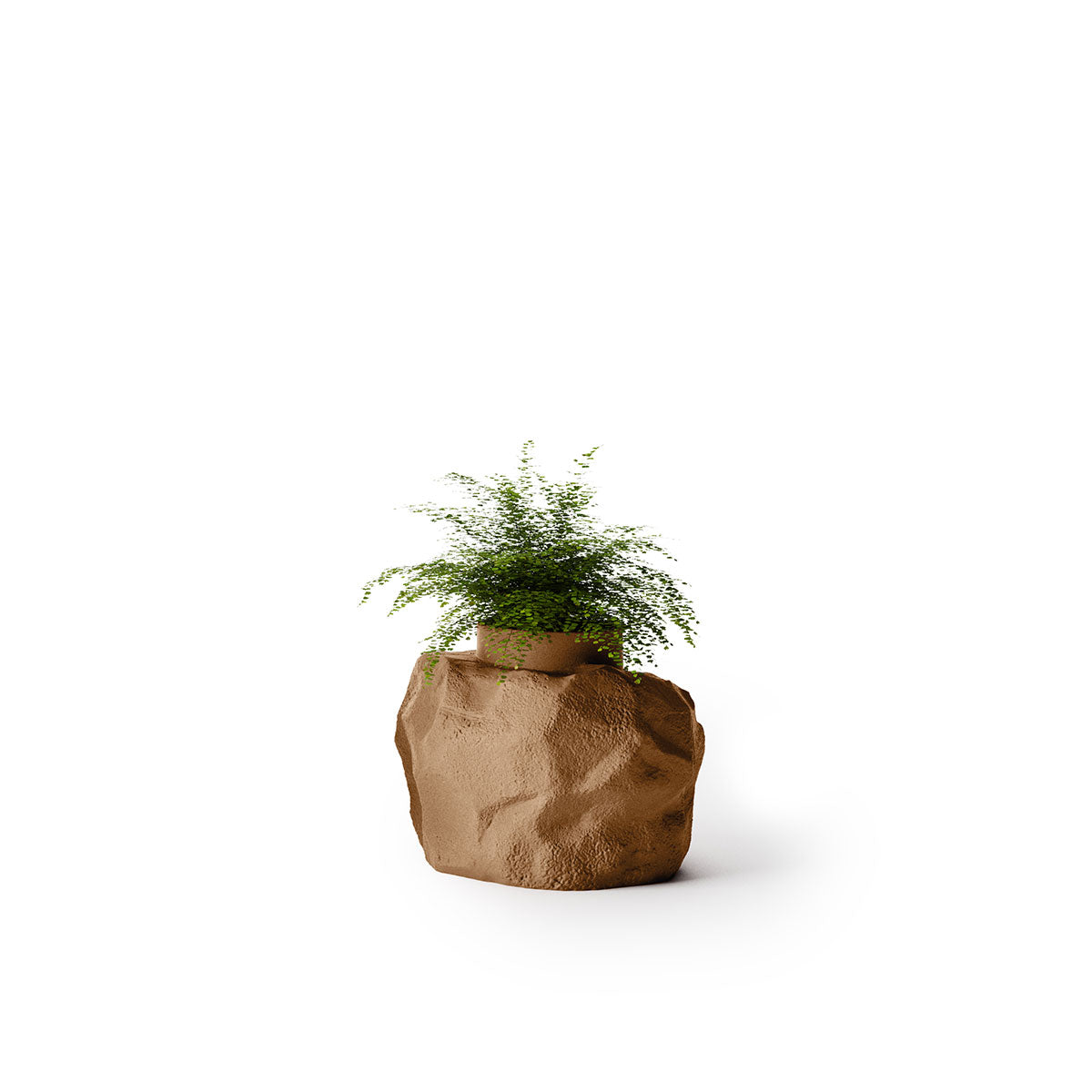 Indigenus_Petra_Nutmeg_Small.jpg