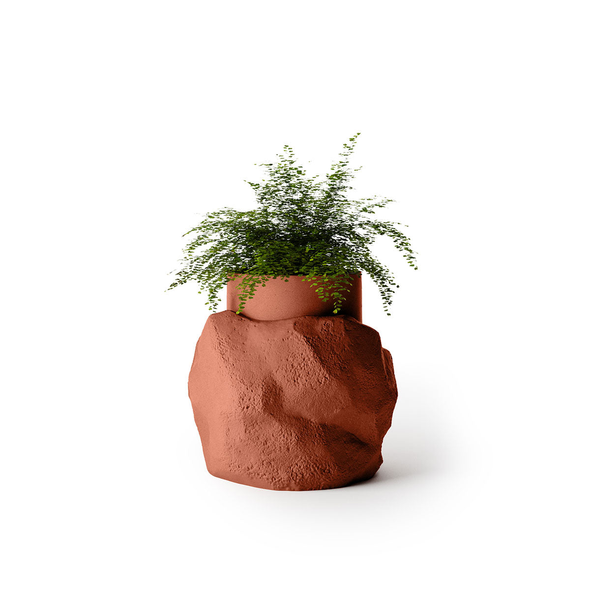 Indigenus_Petra_Terracotta_Medium.jpg