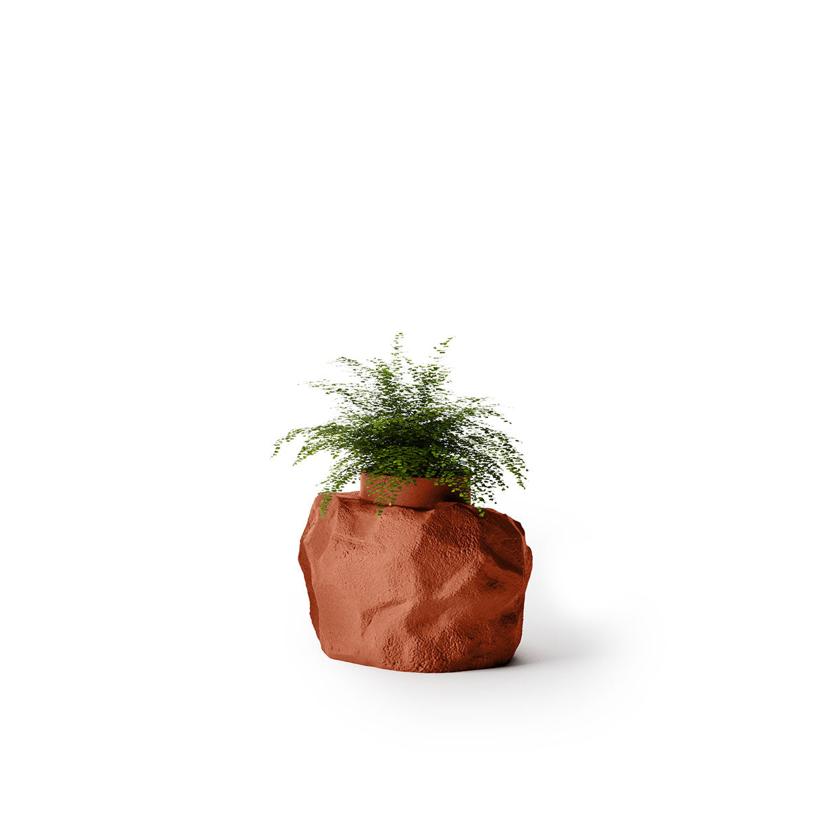 Indigenus_Petra_Terracotta_Small.jpg