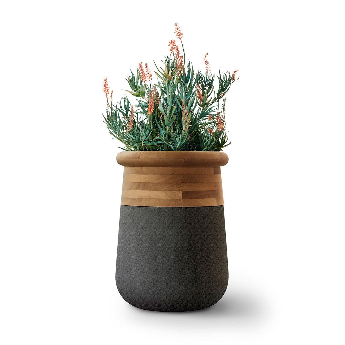 indigenous plant pots Soma Planter Wood top - Small / Sandstone / Wood
