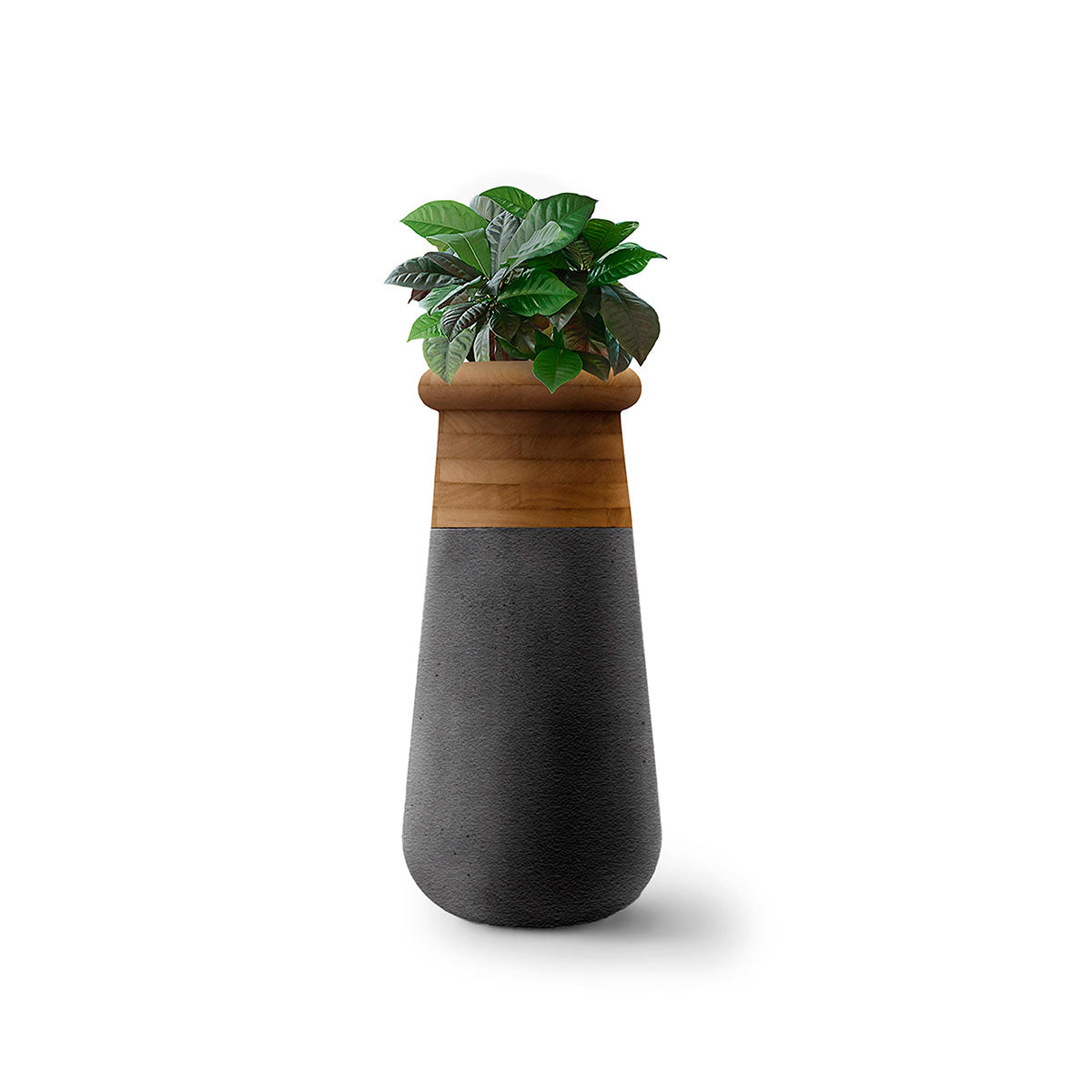 Soma Planter Slim Wood top