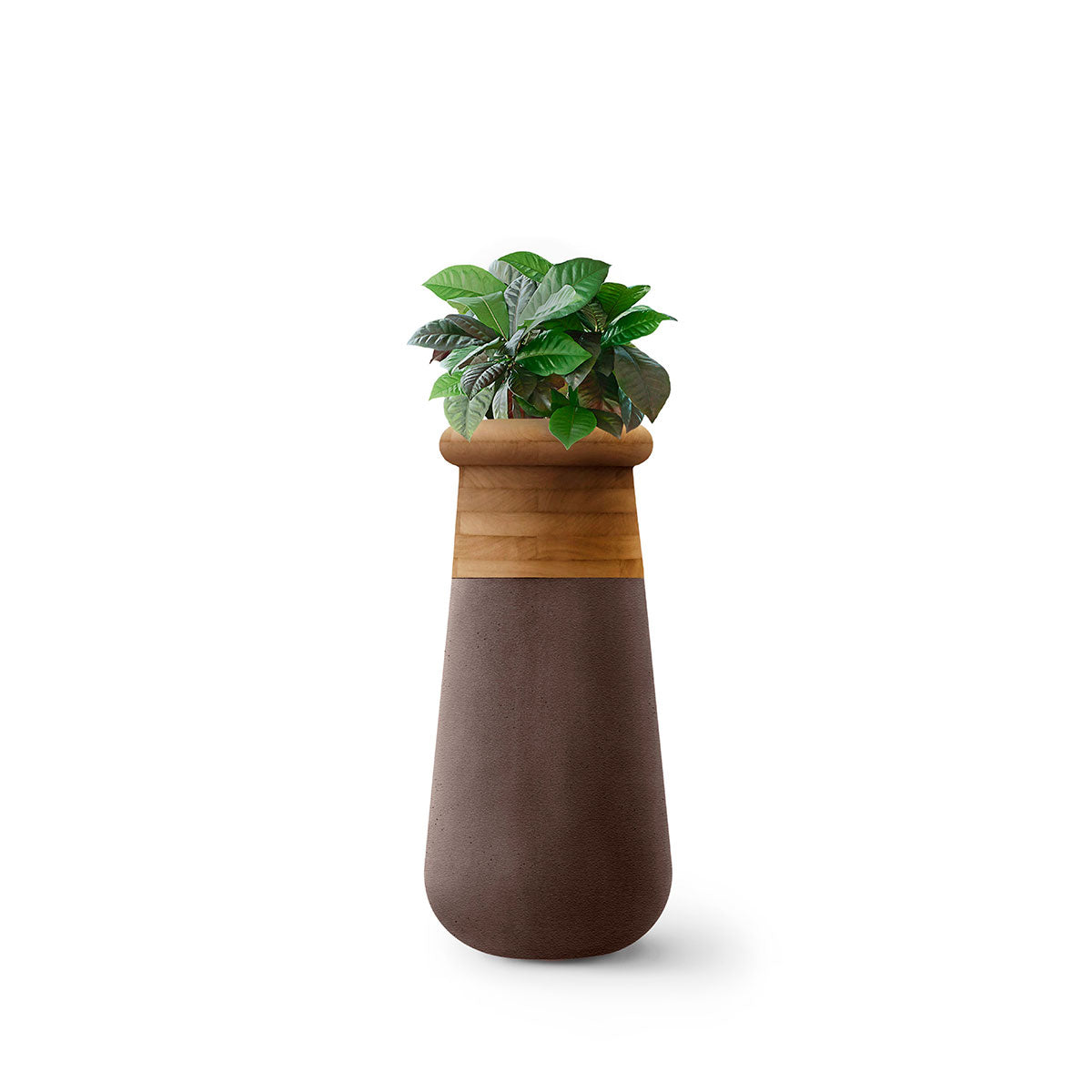 indigenous plant pots Soma Planter Wood XS Slim