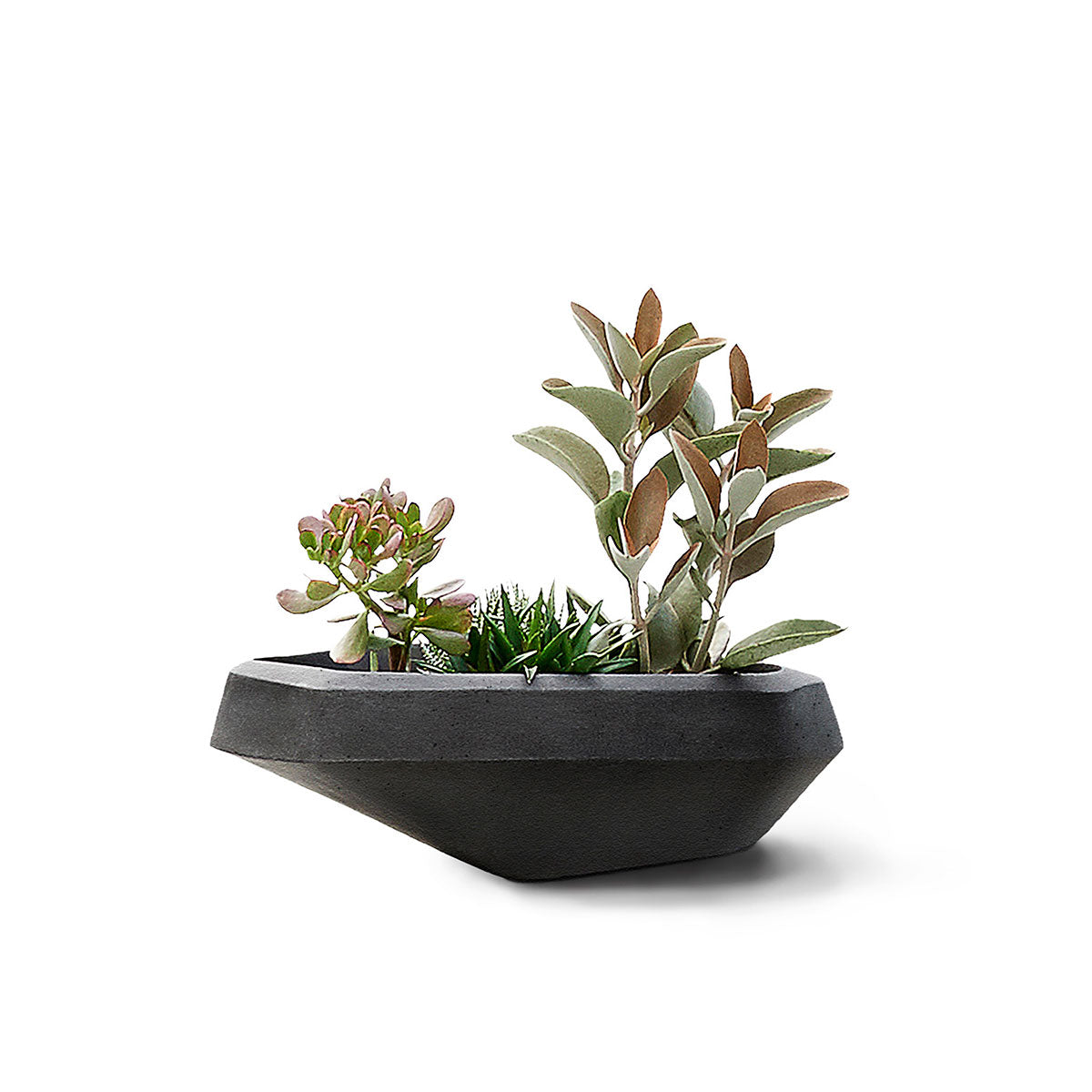 Steen Planter