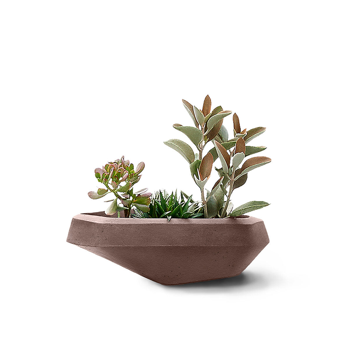 Steen Planter