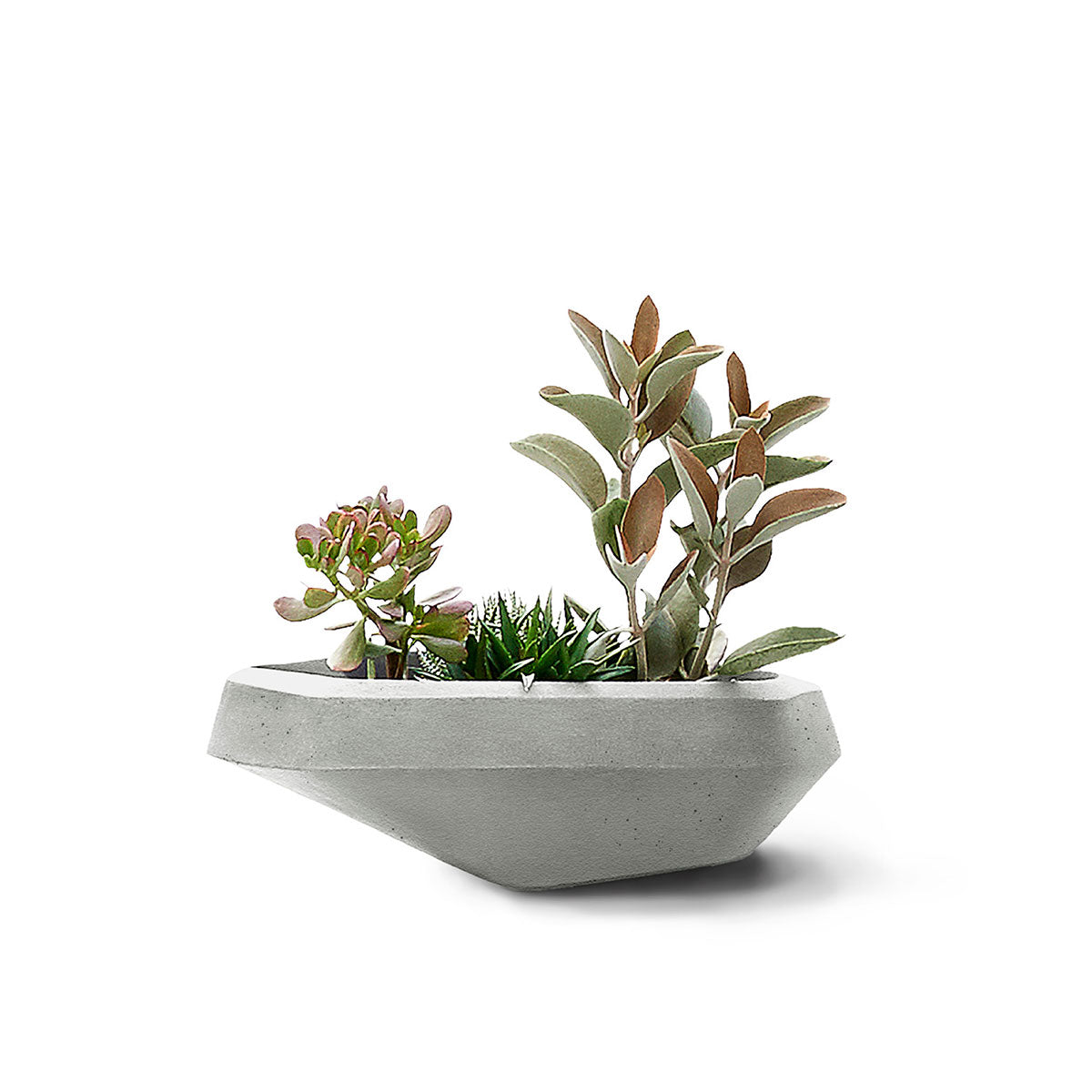 Steen Planter
