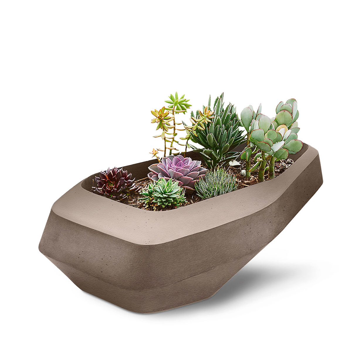 Steen Planter