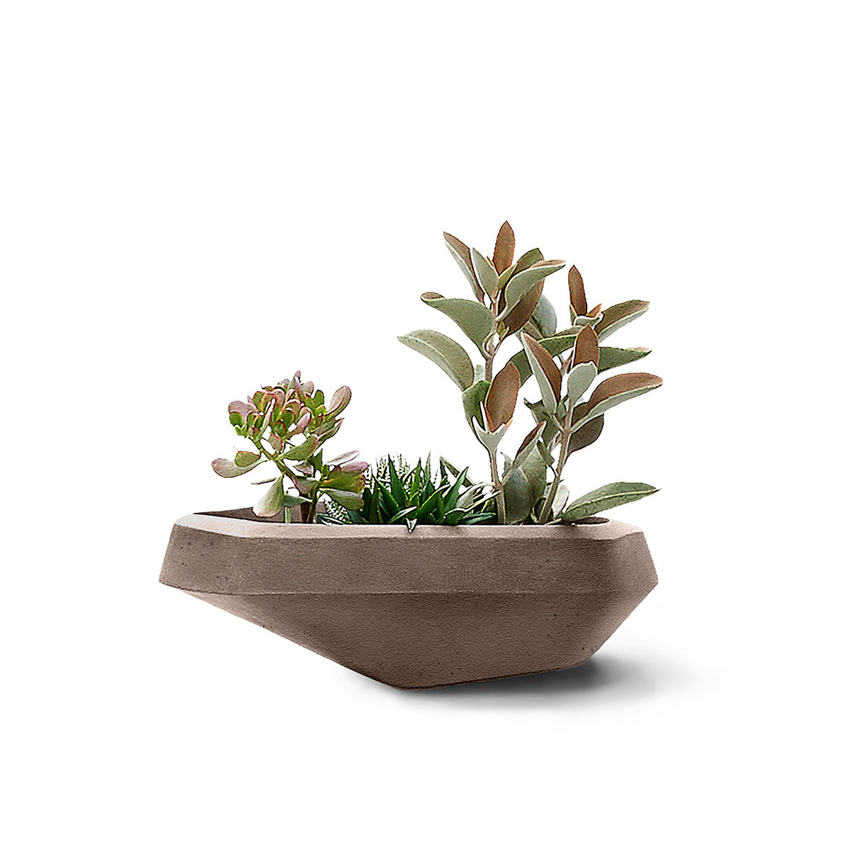 Steen Planter