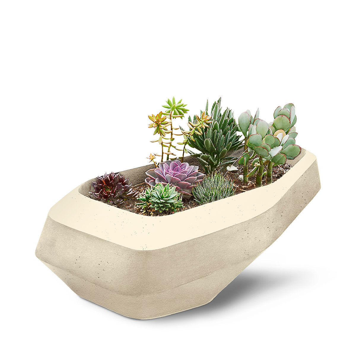 Steen Planter