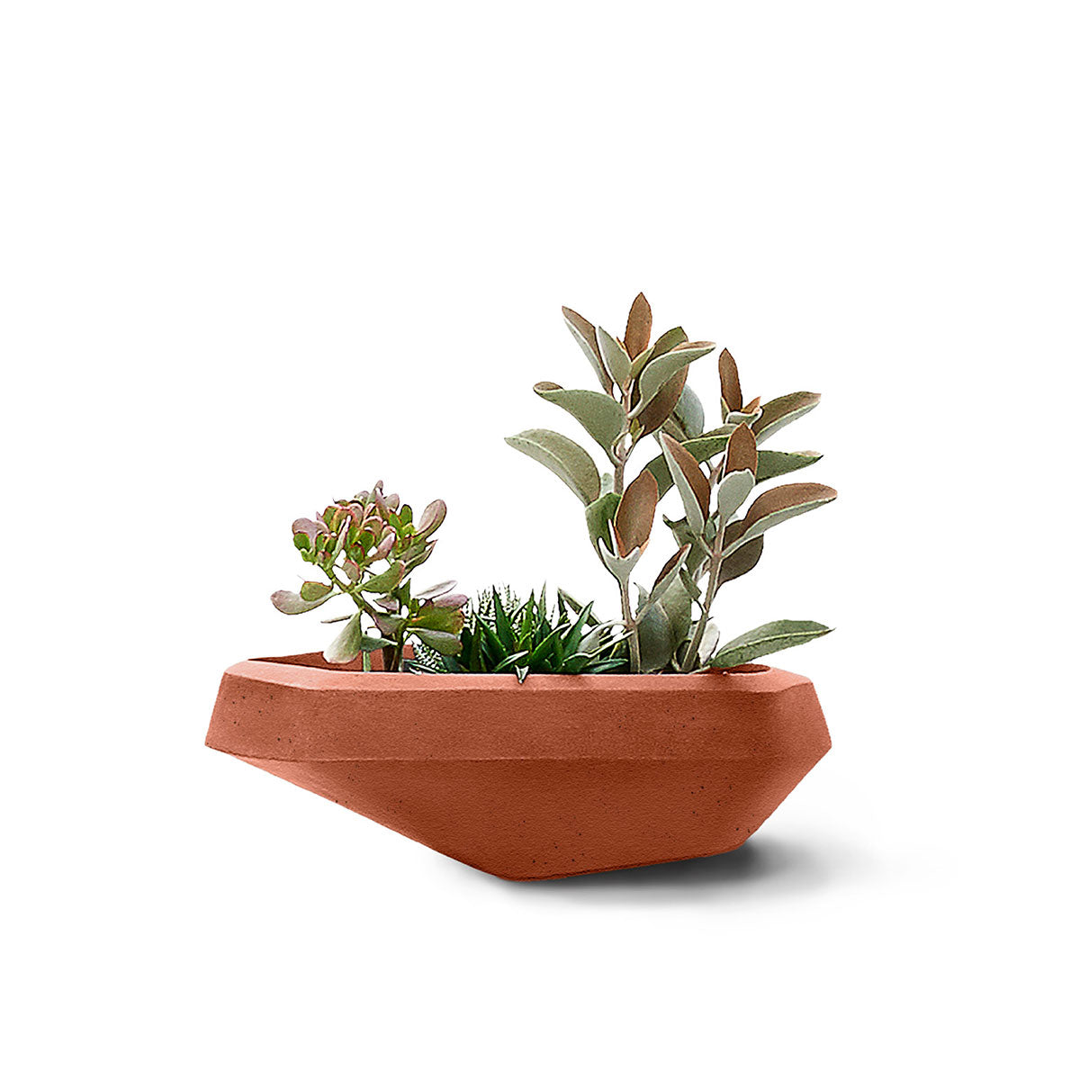 Steen Planter