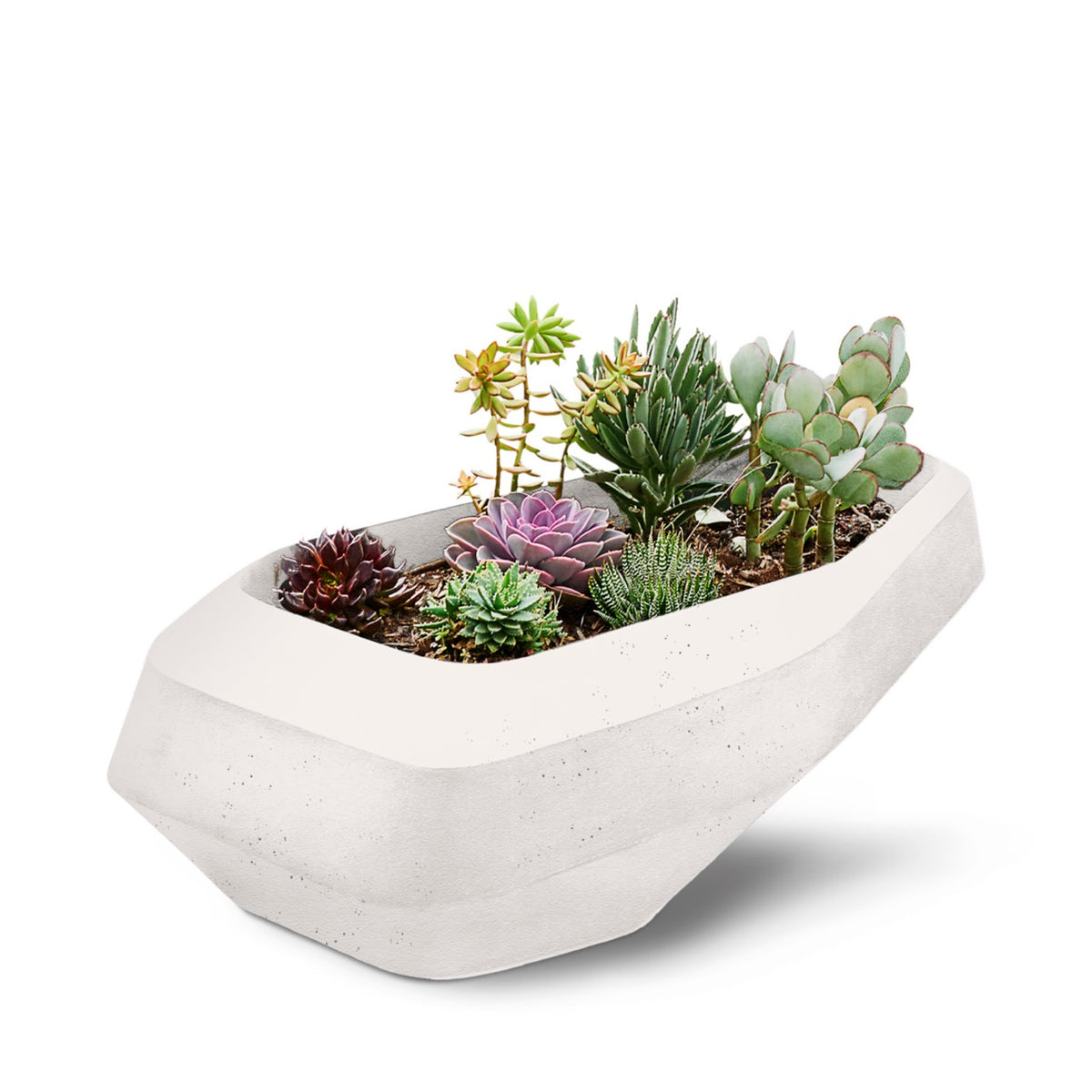 Steen Planter