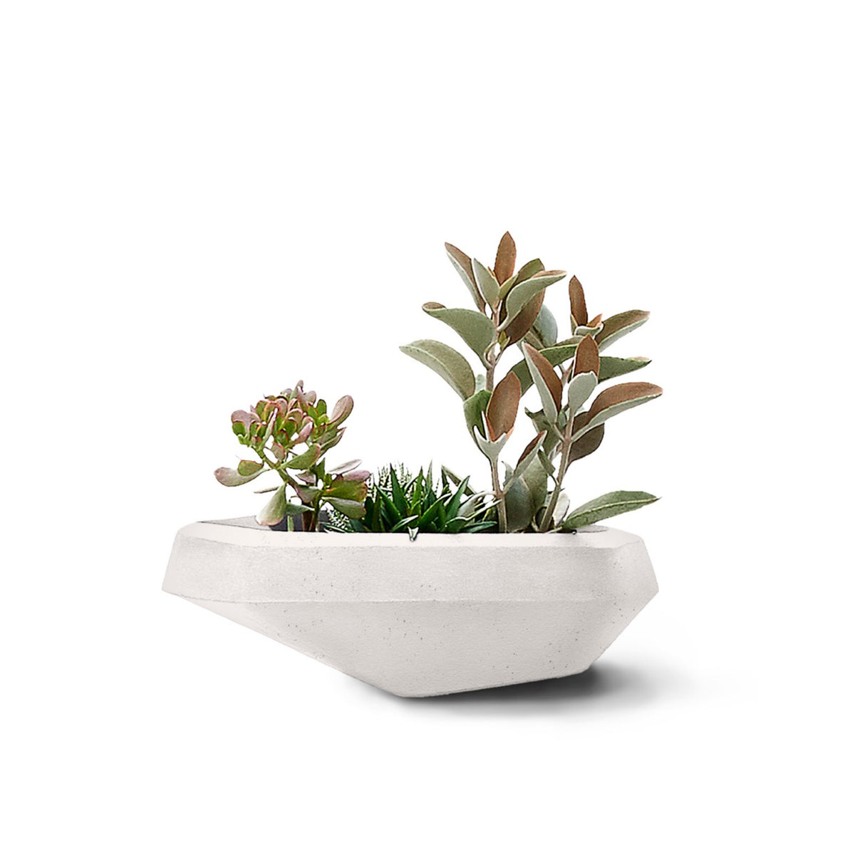 Steen Planter