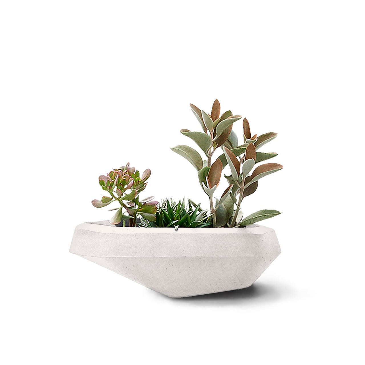 Steen Planter
