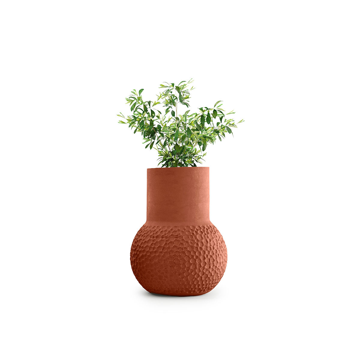 Indigenus_Stellar_Terracotta_Tall.jpg