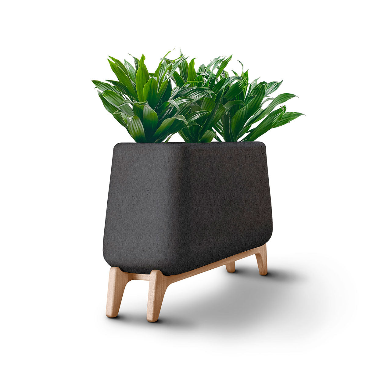 Terra Planter