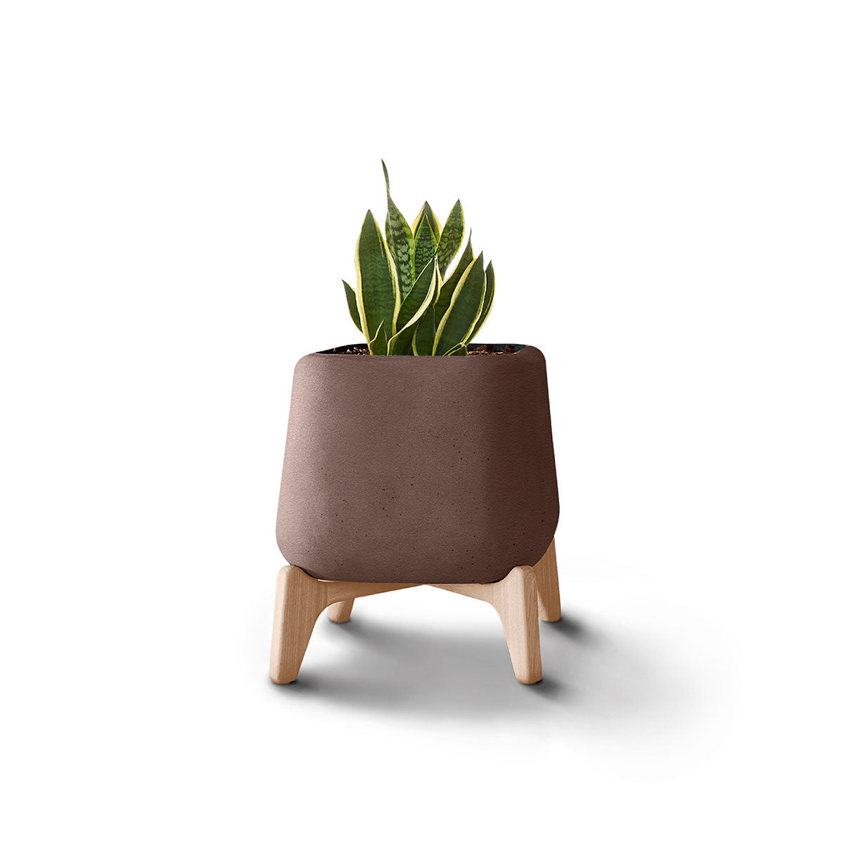 Terra Planter