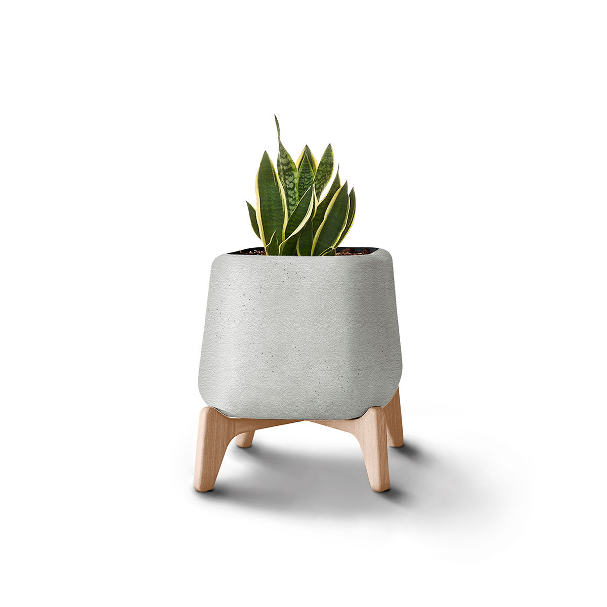 Terra Planter