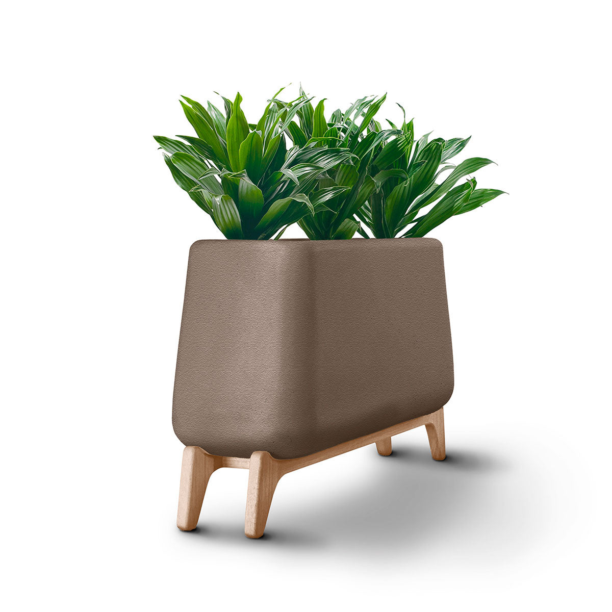 Terra Planter