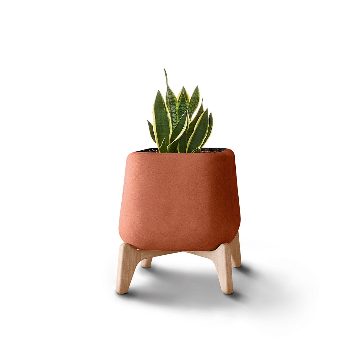 terra plant pots Terra Planter