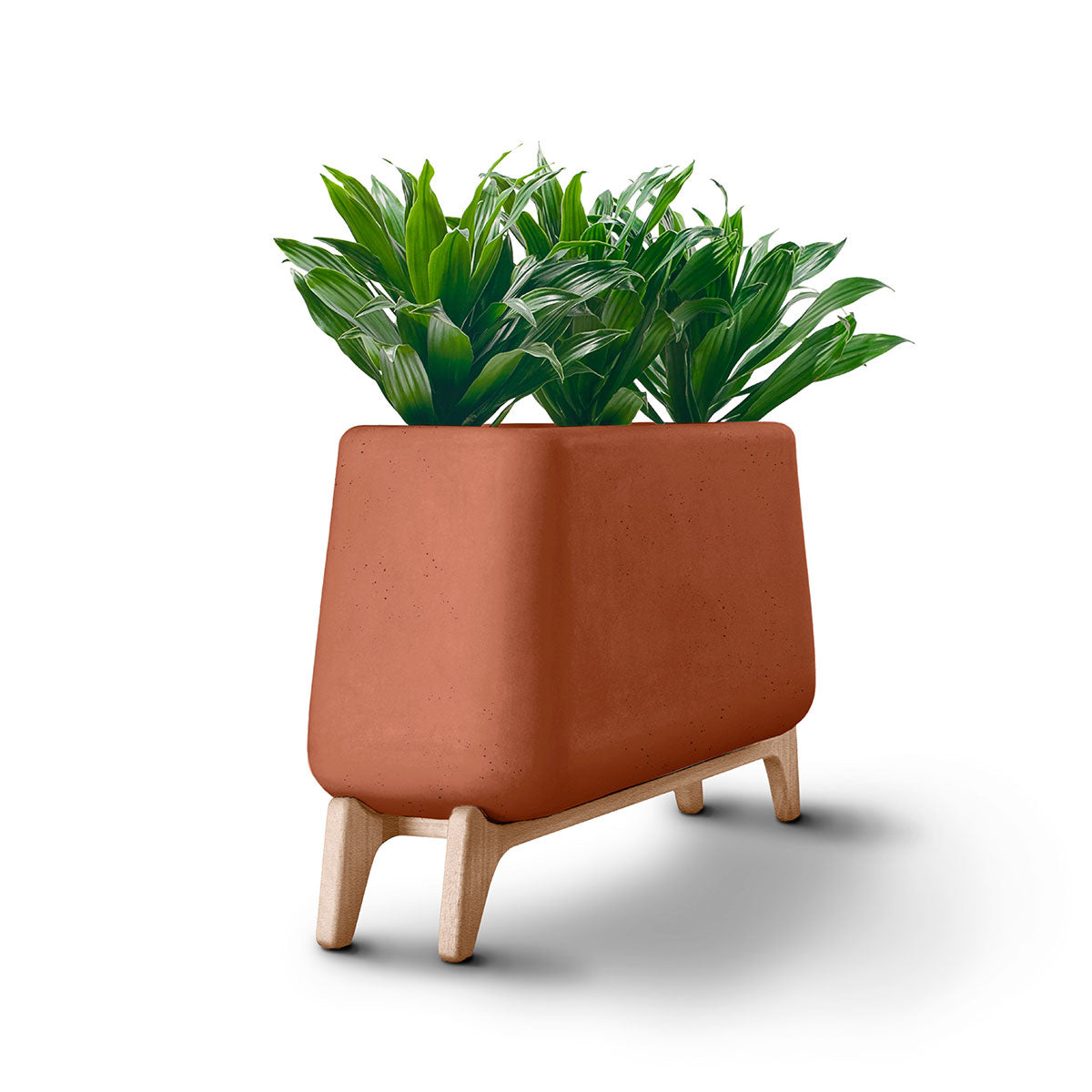 Terra Planter