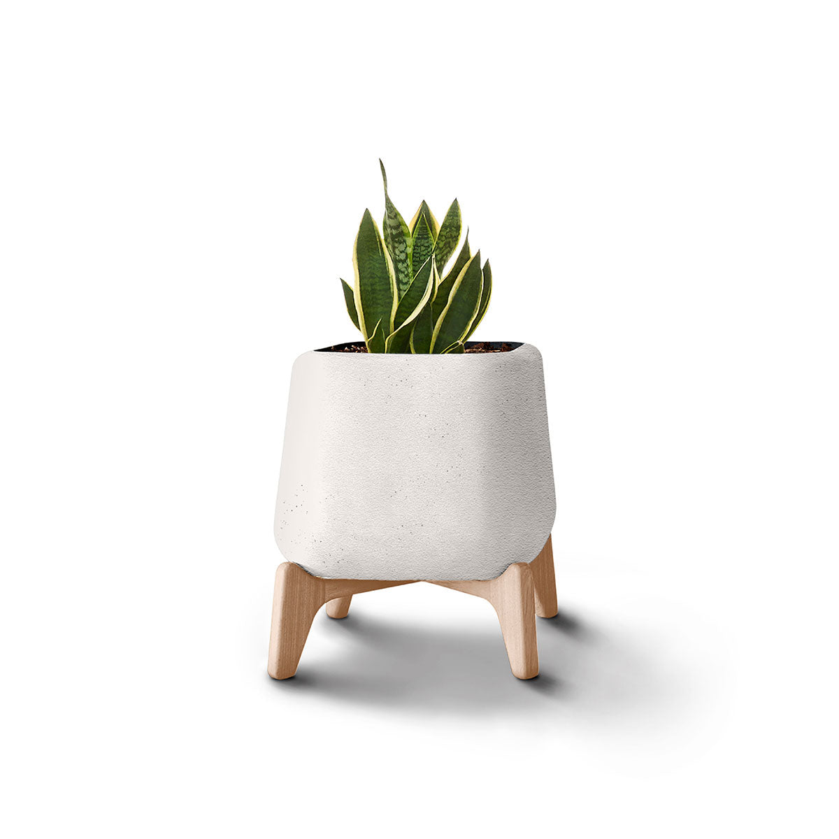 Terra Planter