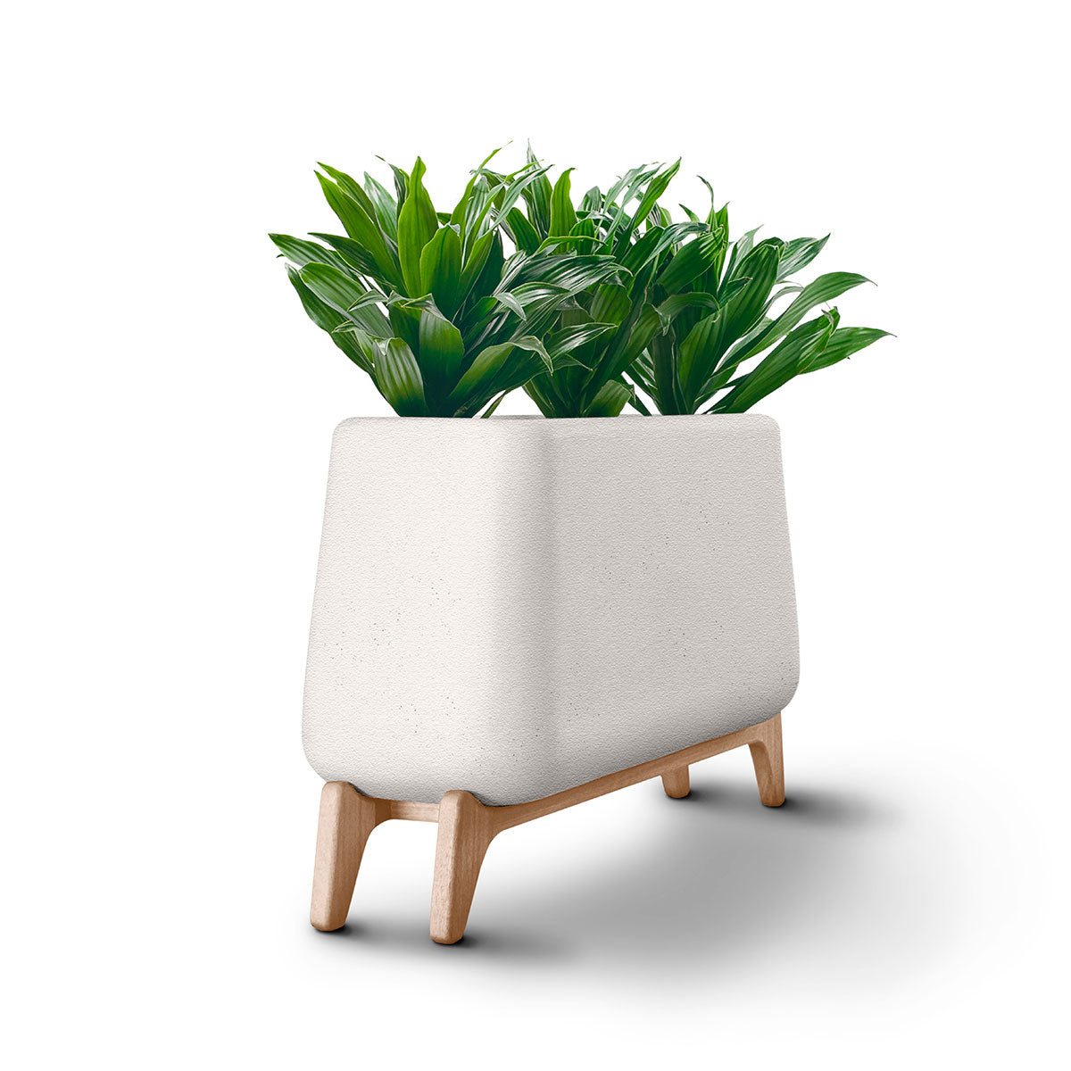 Terra Planter