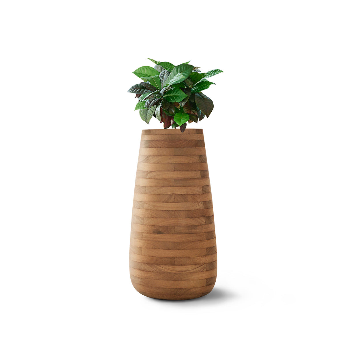 Tuber Planter Wood