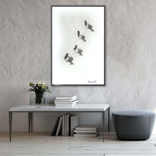 Insitu-zebra-aerial-ARTPRINT.jpg