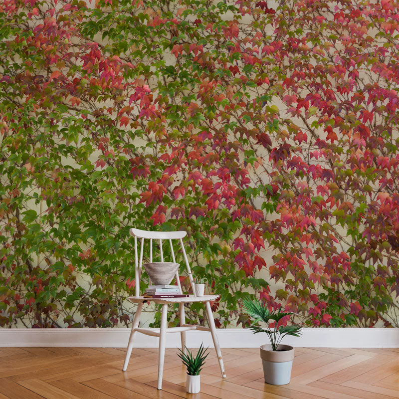 Insitu_ChairPlant6.jpg