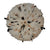 Juju speckled 2.jpg