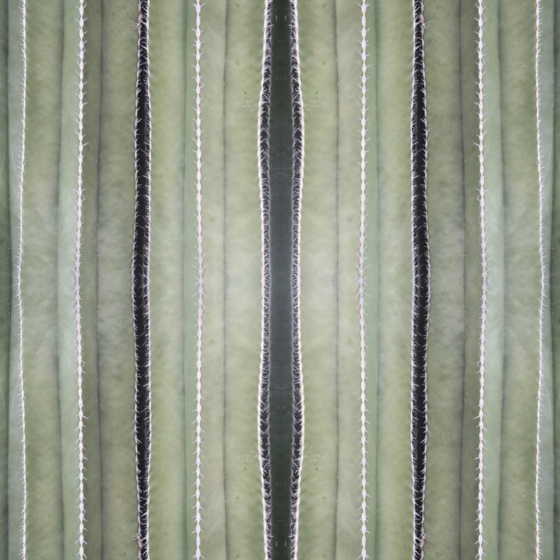 Karoo-Weave-Clinton-Friedman-e1468589152345.jpg