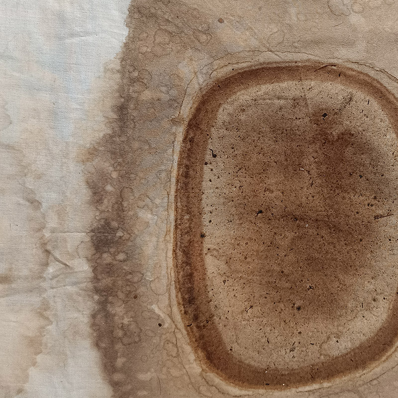 Kigelia Echo Wallpaper