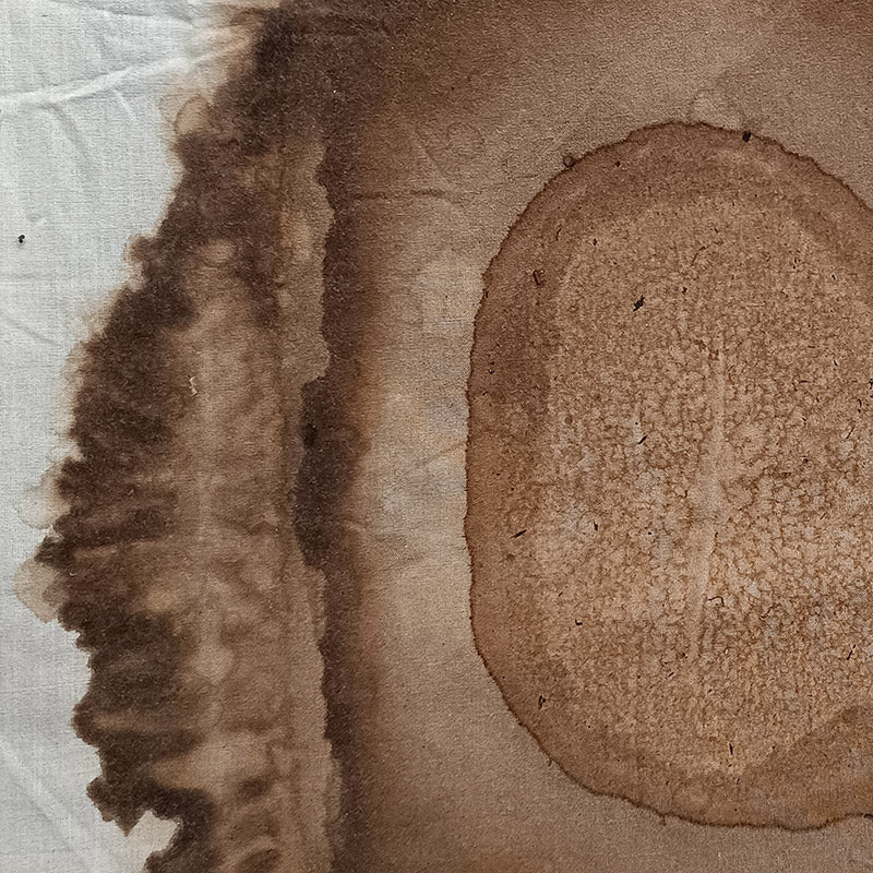 Kigelia Reverb Wallpaper